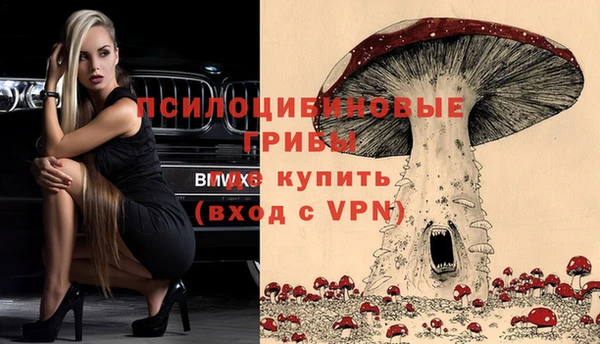 спиды Беломорск