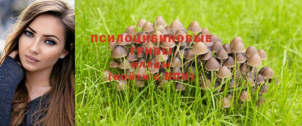МДМА Белокуриха