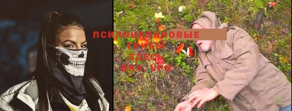 МДМА Белокуриха