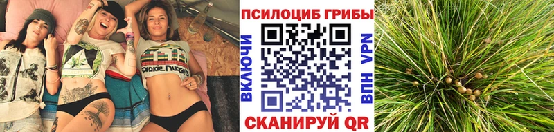 Галлюциногенные грибы Magic Shrooms  Верхняя Пышма 